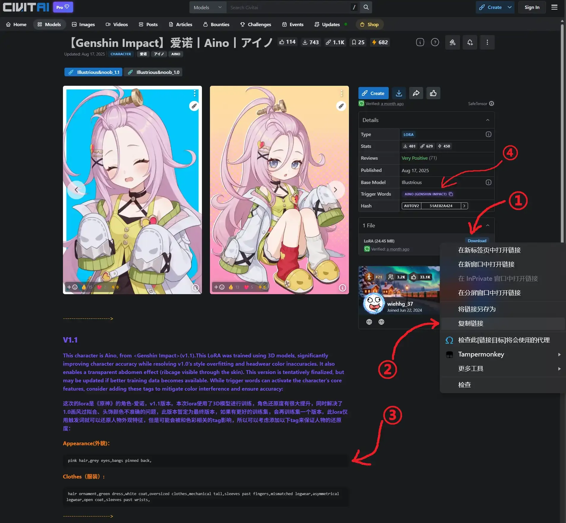 D-方案自定义loRA